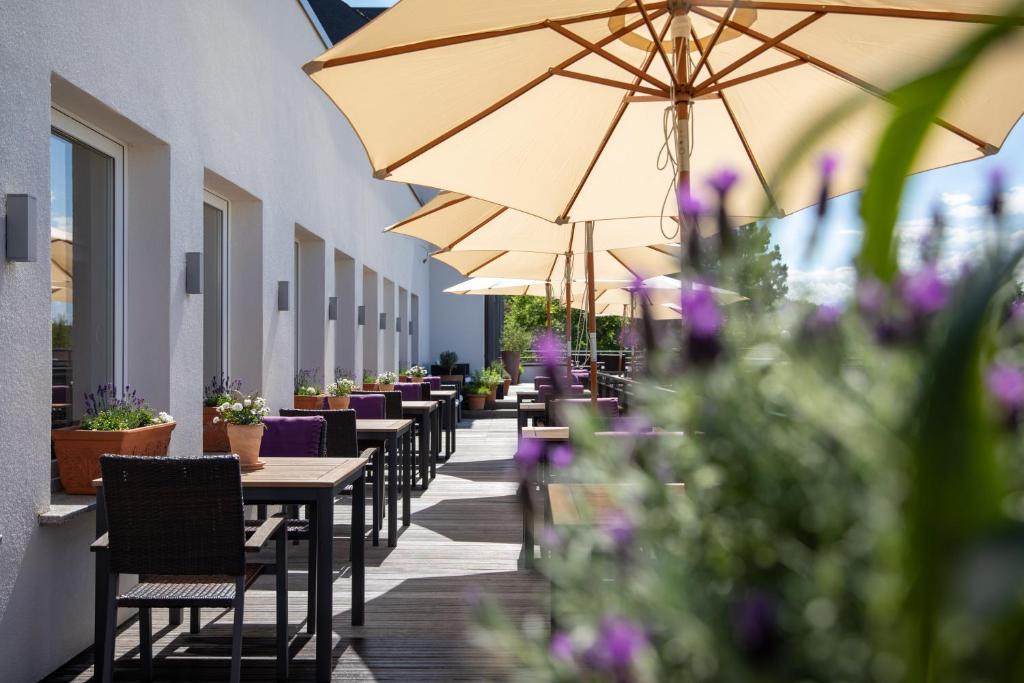 Restaurace v ubytování Hotel Vulcano Lindenhof