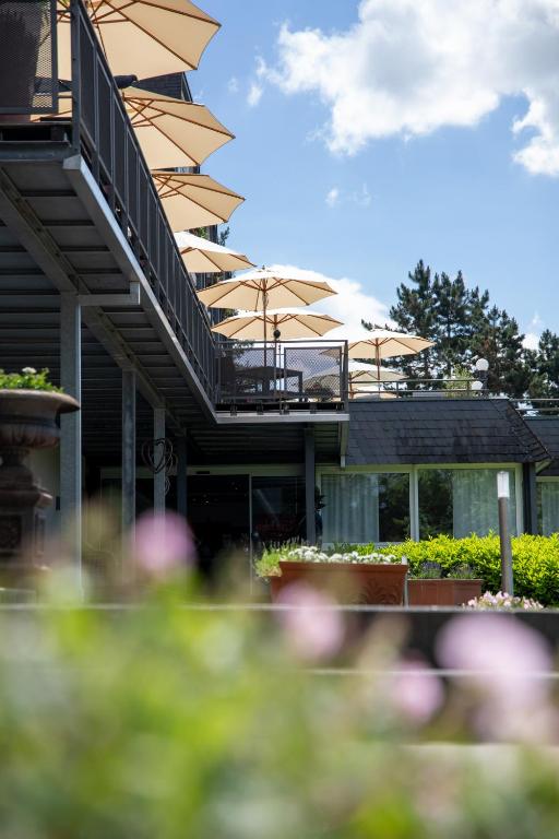 Zahrada ubytování Hotel Vulcano Lindenhof