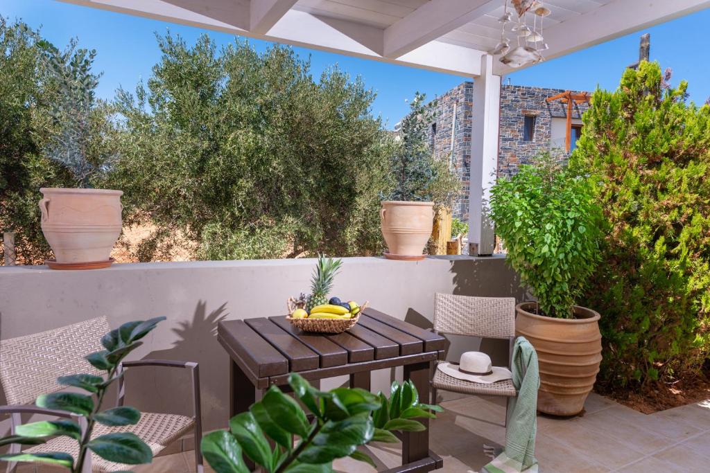Zahrada ubytování Villa Penelope