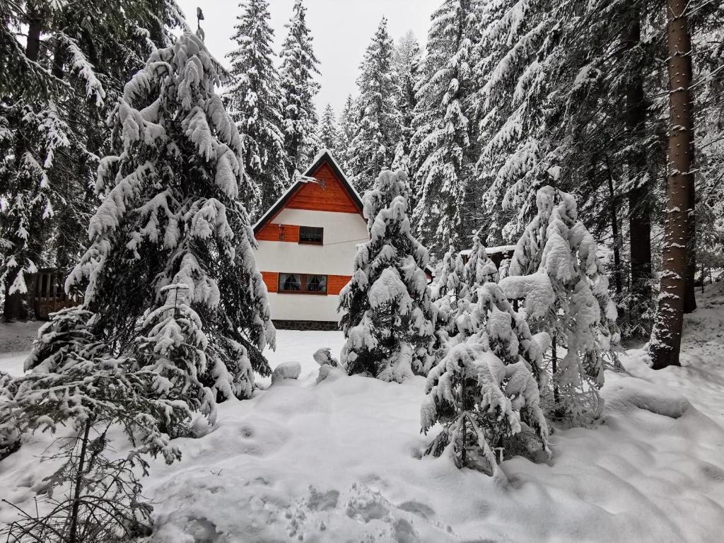 eine Hütte in einem verschneiten Wald mit schneebedeckten Bäumen in der Unterkunft Chata Maco in Liptovský Mikuláš