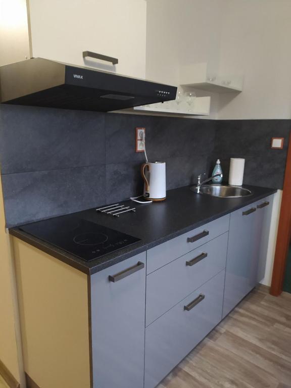 Kuchyň nebo kuchyňský kout v ubytování Wellness Penzion Kotár