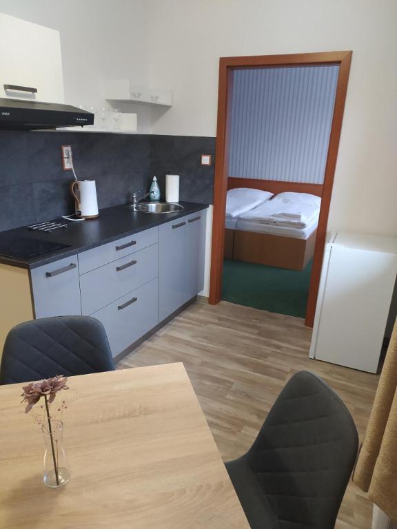 Kuchyň nebo kuchyňský kout v ubytování Wellness Penzion Kotár