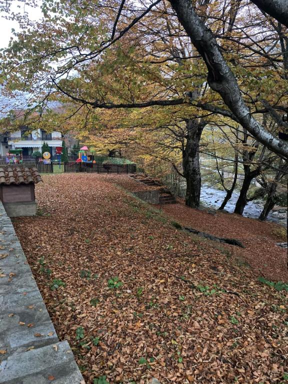 un chemin plein de feuilles dans un parc arboré dans l'établissement Балкан вили, à Ribarica