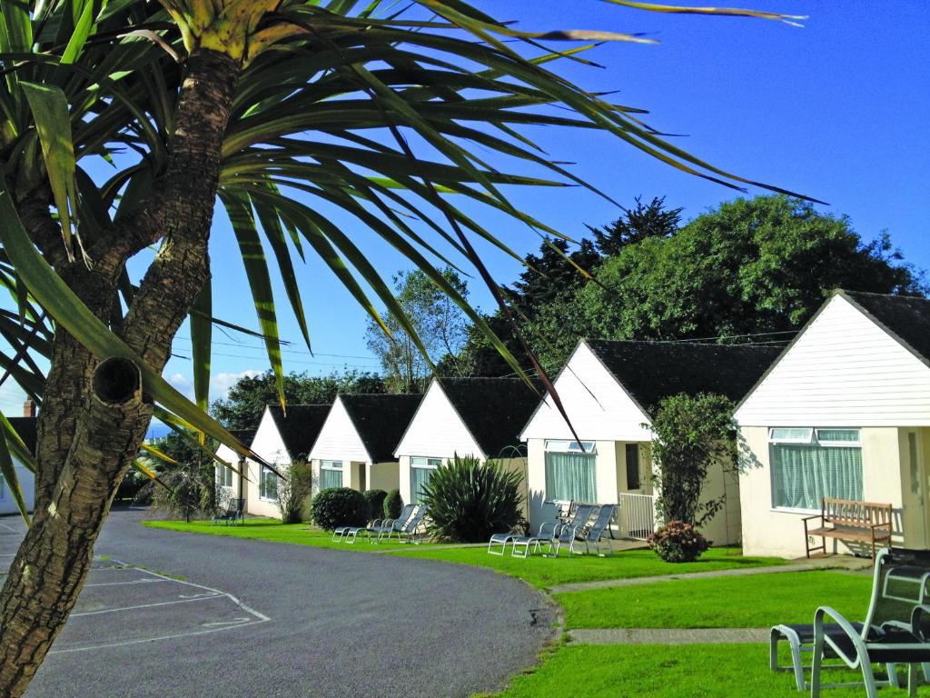 a row of cottages with a palm tree at Golden Acre Jurassic Coastal Lodges ,Eype in Bridport