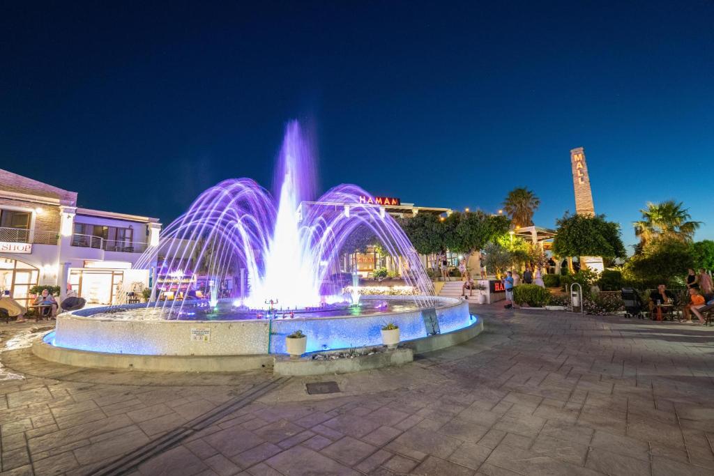 einen Brunnen mit lila Lichtern in einer Stadt in der Nacht in der Unterkunft Tigaki Mall Hostel in Tigaki