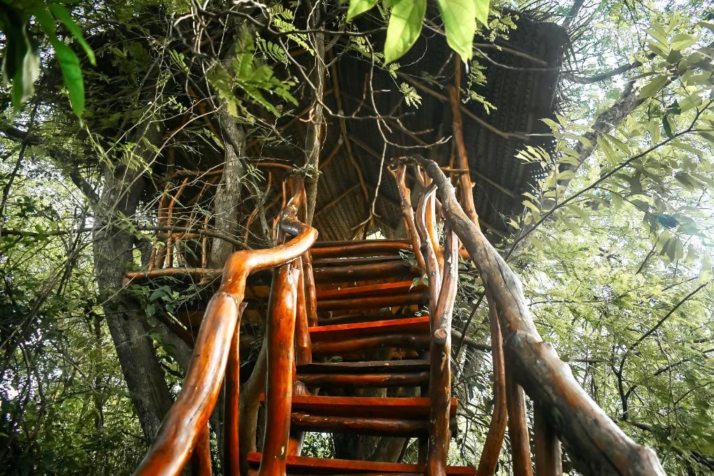 Fotografie z fotogalerie ubytování Dudley Nature Resort v destinaci Habarana