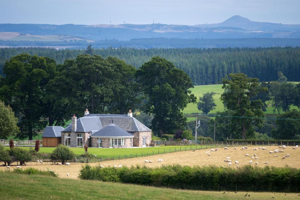 a house with a flock of birds in a field at Laverockbank Steading in Buchanty