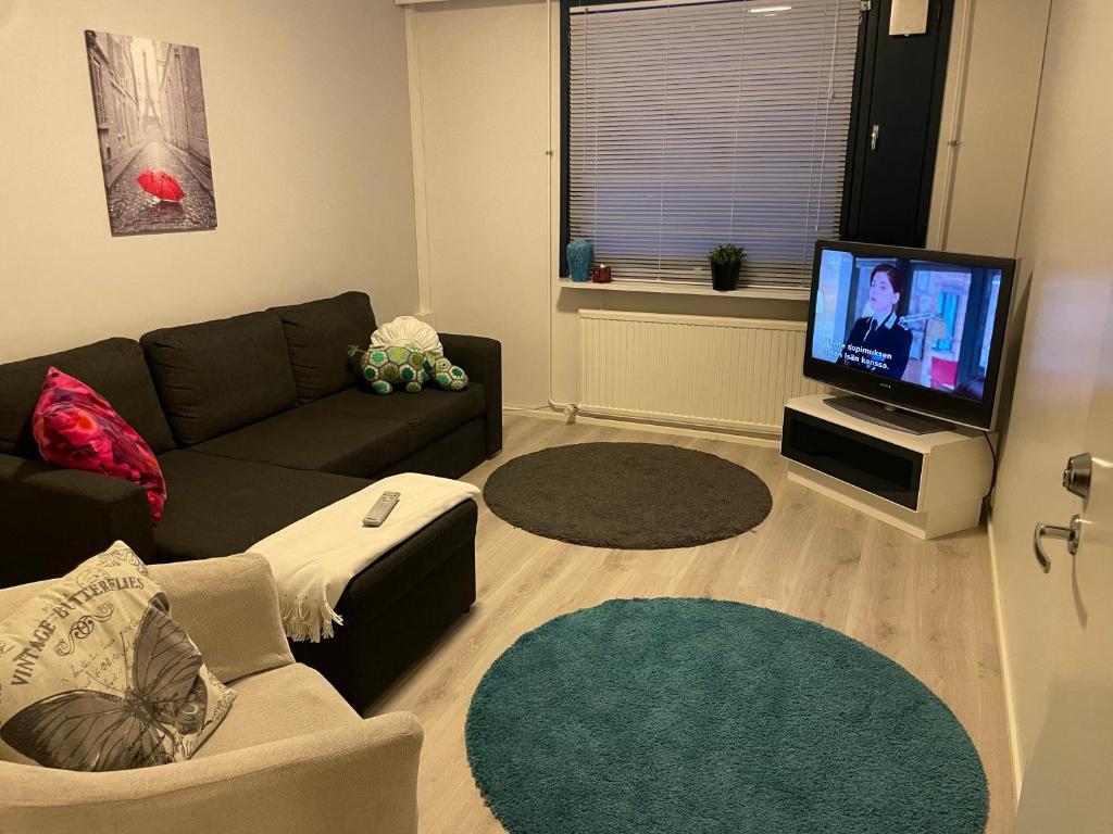 TV a/nebo společenská místnost v ubytování Style 1BR Appartment in Tornio