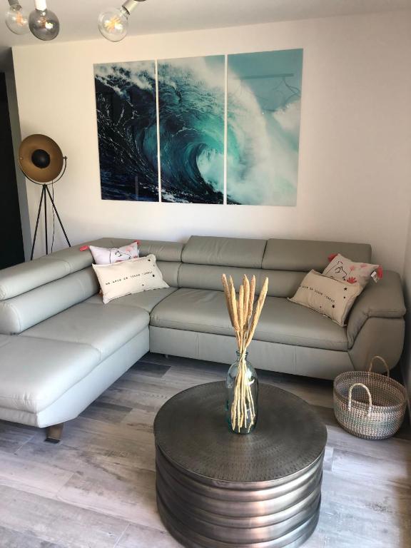 Posezení v ubytování Appartement cosy au calme