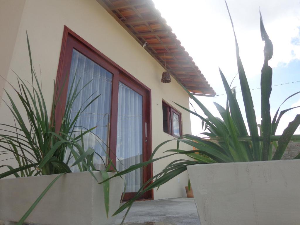 蒙蒂達斯加梅萊拉斯的住宿－Chalé Mandacaru，两株盆栽植物坐在建筑物前