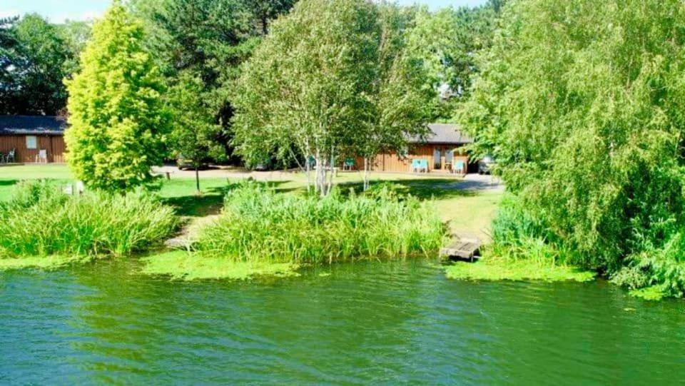 ein Fluss mit Bäumen und ein Haus im Hintergrund in der Unterkunft Rowan Lodge 3 Hot Tub in York