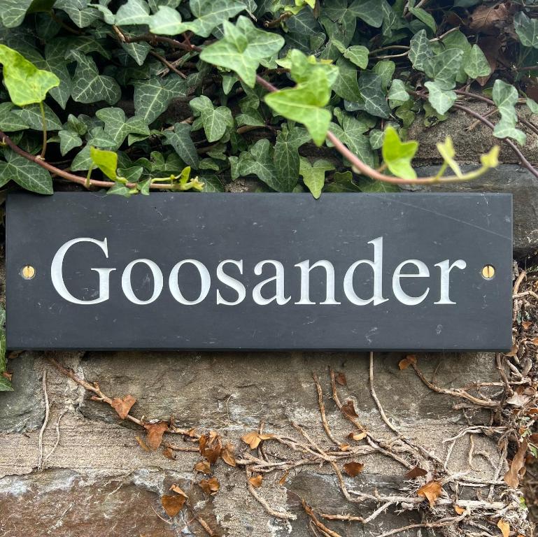 a sign that says goosander on top of plants at Odun Terrace in Appledore
