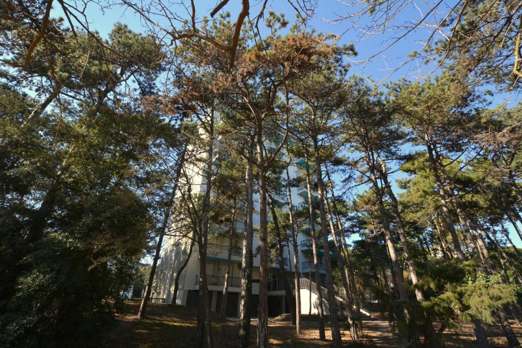 Táj az apartman közelében