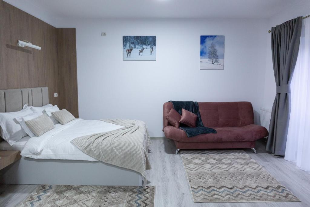 Charming Studio in Frasin - Housity