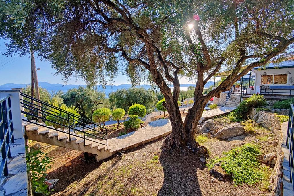 a tree in a yard with a wooden fence at Nissaki Sea View 204 by Sealand Villas in Nisakion