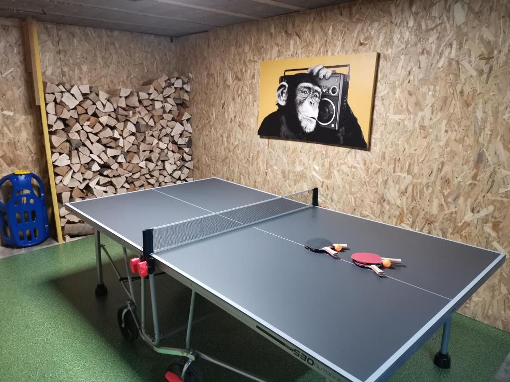 Stolný tenis v ubytovaní L'écrin de Xattys - Gîte de standing-SPA-terrain de pétanque-Piscine-Switch-Baby-foot au coeur du Massif Vosgien alebo v jeho okolí