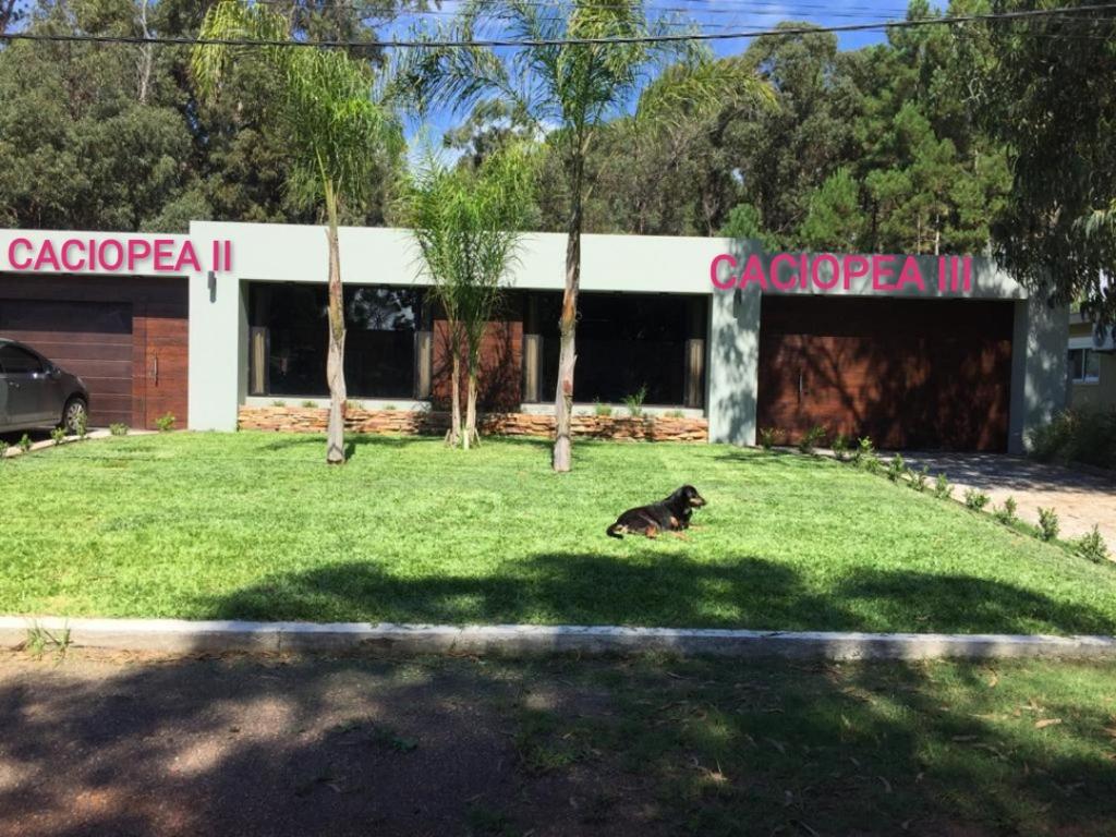 Ferienhaus CACIOPEA II CACIOPEA III CACIOPEA I se alquila solo x 15