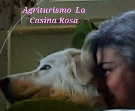 Majutusasutuse Agriturismo La Casina Rosa külastajatega peatuv lemmikloom või lemmikloomad