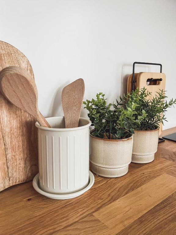 Fotografie z fotogalerie ubytování Apartmány Zahražany v Mostě