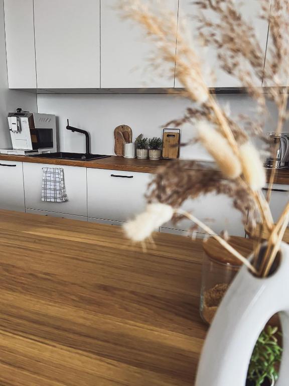Kuchyň nebo kuchyňský kout v ubytování Apartmány Zahražany