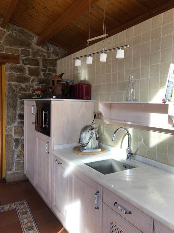 - une cuisine avec un évier et un comptoir dans l'établissement Casa Laudina y Armando, à Brañella