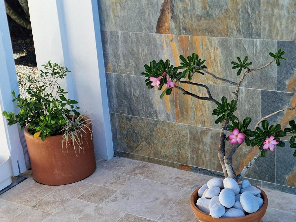 Zahrada ubytování Appartements de Luxe . Propriété de Luxe