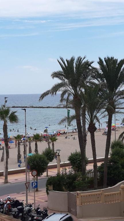 - une vue sur la plage bordée de palmiers et l'océan dans l'établissement Appartement chaleureux à 2 pas de la plage, à El Campello