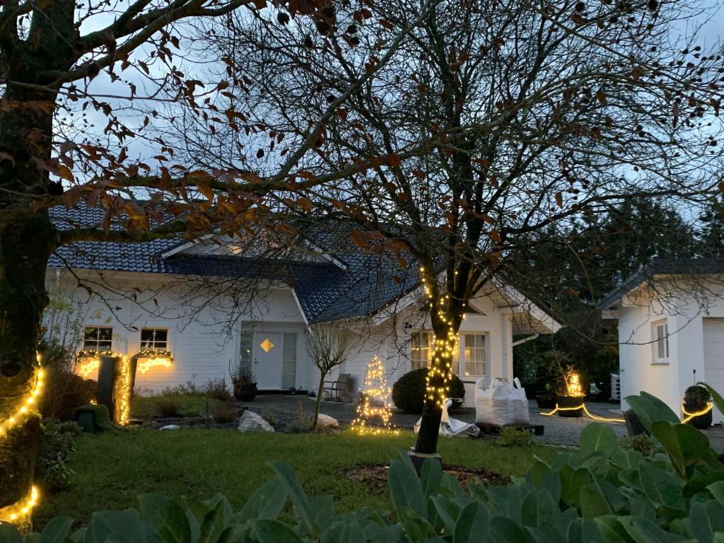 a house with christmas lights in the yard at Maison Grande Fleur in Metterich