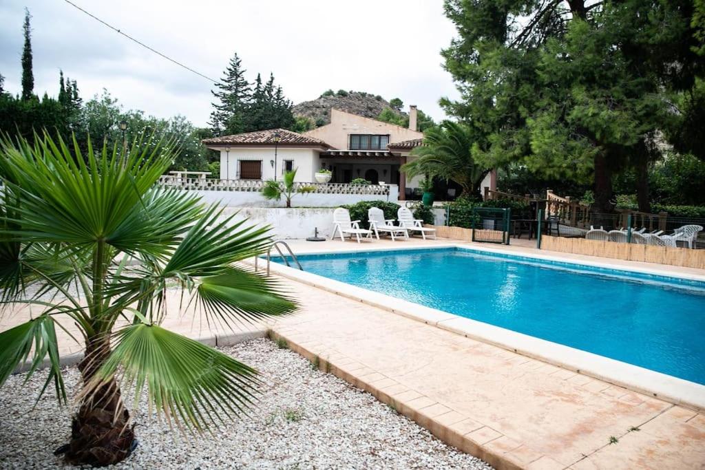 a swimming pool with a palm tree in front of a house at Villa Molinos in Novelda