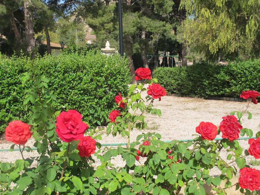 Villa Molinos, Novelda – Updated 2023 Prices