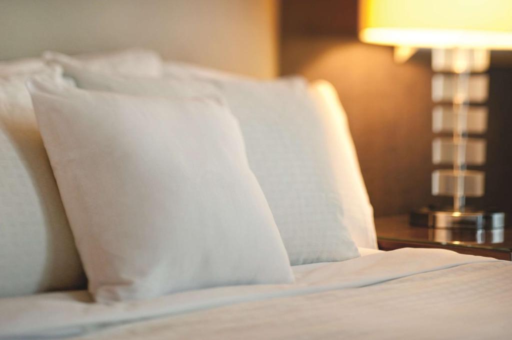 DoubleTree by Hilton Beijing - King Suite