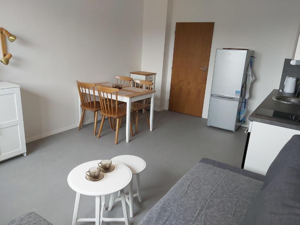 Kuchyň nebo kuchyňský kout v ubytování Apartmán Tony Slapy