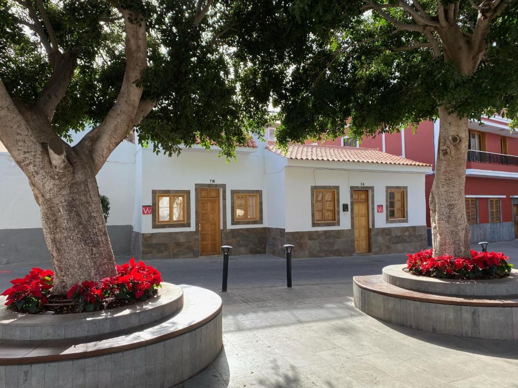 two trees with red flowers in front of a building at Casas La Aldea Suites Plaza in San Nicolás