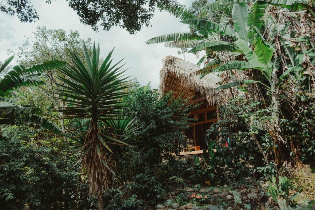 Guest house Casa Kula, Tzununá, Guatemala