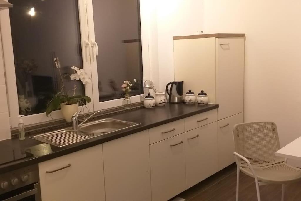 a kitchen with a sink and a counter top at Ländliche Idylle in Neu Bötzow