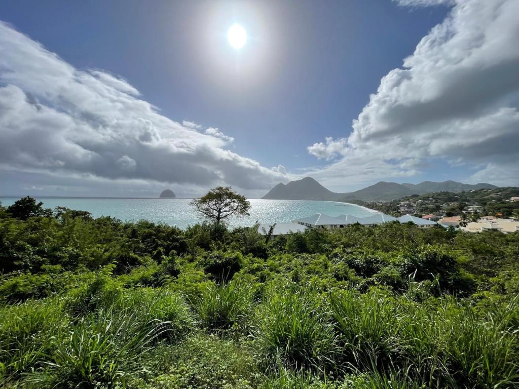 Paisaje cerca de este apartamento
