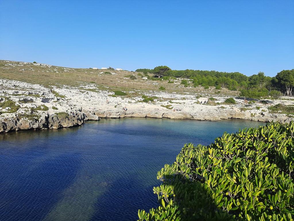 乌贾诺拉基耶萨B&B IL PALOMBARO的一条有蓝色水和绿色植物的河流