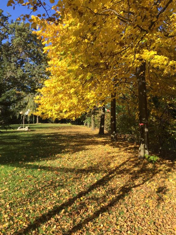 Vonkajšia záhrada v ubytovaní Happy hill - appartamento Quercia - natura e relax