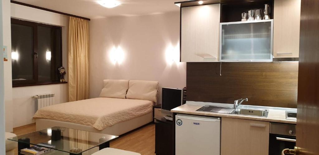 Charming Winter Studio - Apartamento De Una Habitación