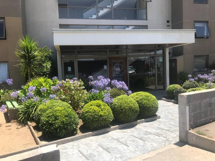 a group of bushes and flowers in front of a building at Hermoso DEPTO en Viña del Mar in Viña del Mar
