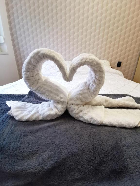 ein Paar Schwäne, die ein Herz auf einem Bett bilden in der Unterkunft Muskátli nyaraló in Zamárdi