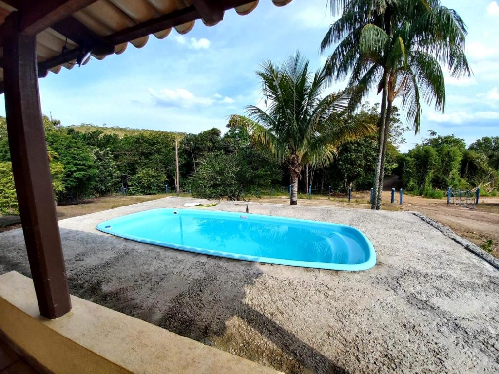 uma piscina azul com uma palmeira ao fundo em RANCHO PÉ DA SERRA em Capitólio