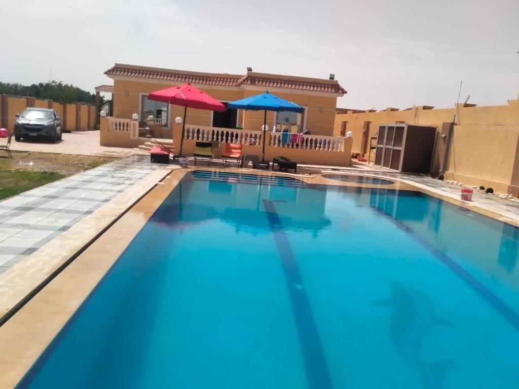 a large blue swimming pool in front of a house at شاليه بالريف الاوربي للاجازات in Giza