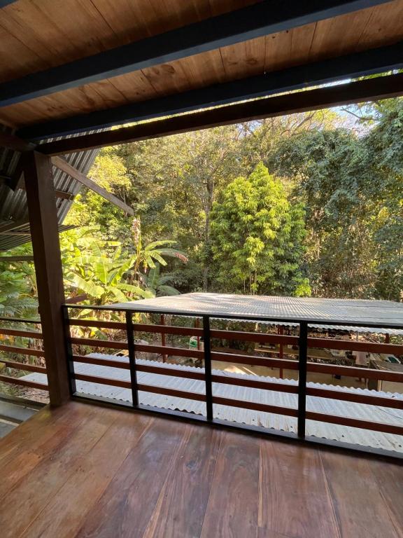 a screened porch with a view of a forest at Hostel Tuanis Surf Camp in Santa Teresa Beach