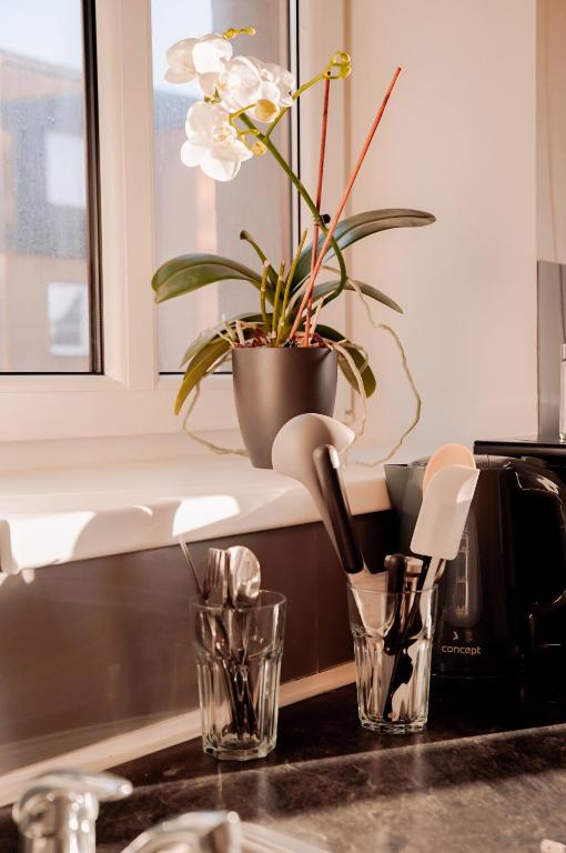 Fotografie z fotogalerie ubytování Apartmány Centrum v Novém Boru