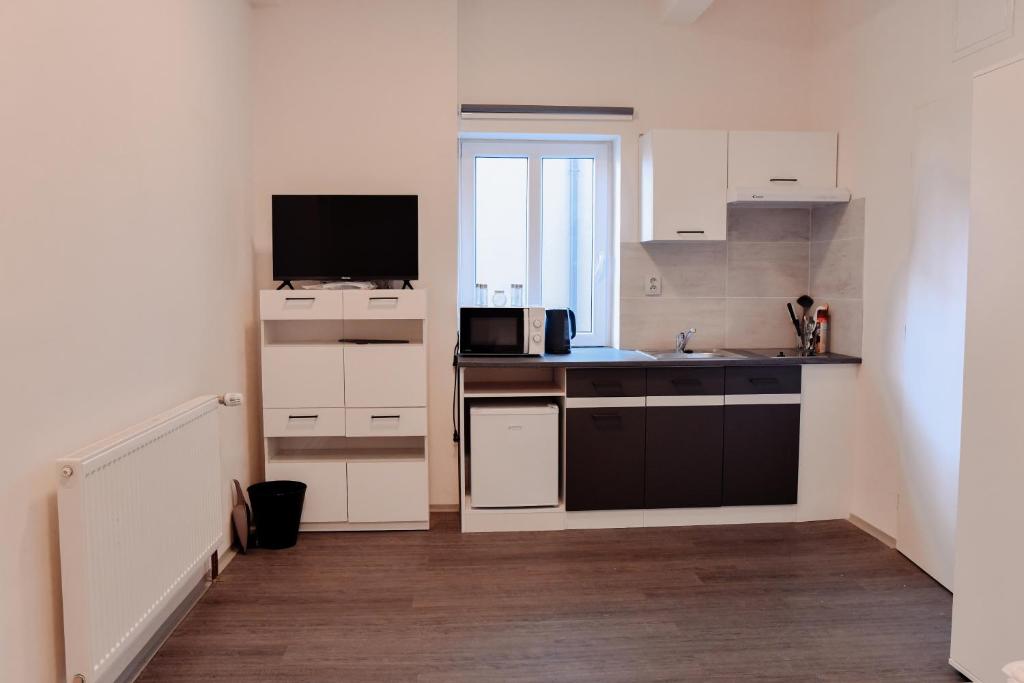 Kuchyň nebo kuchyňský kout v ubytování Apartmány Centrum