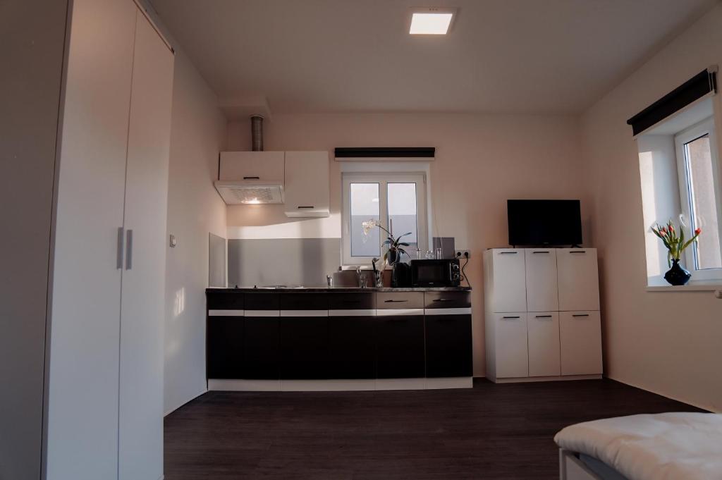 Kuchyň nebo kuchyňský kout v ubytování Apartmány Centrum