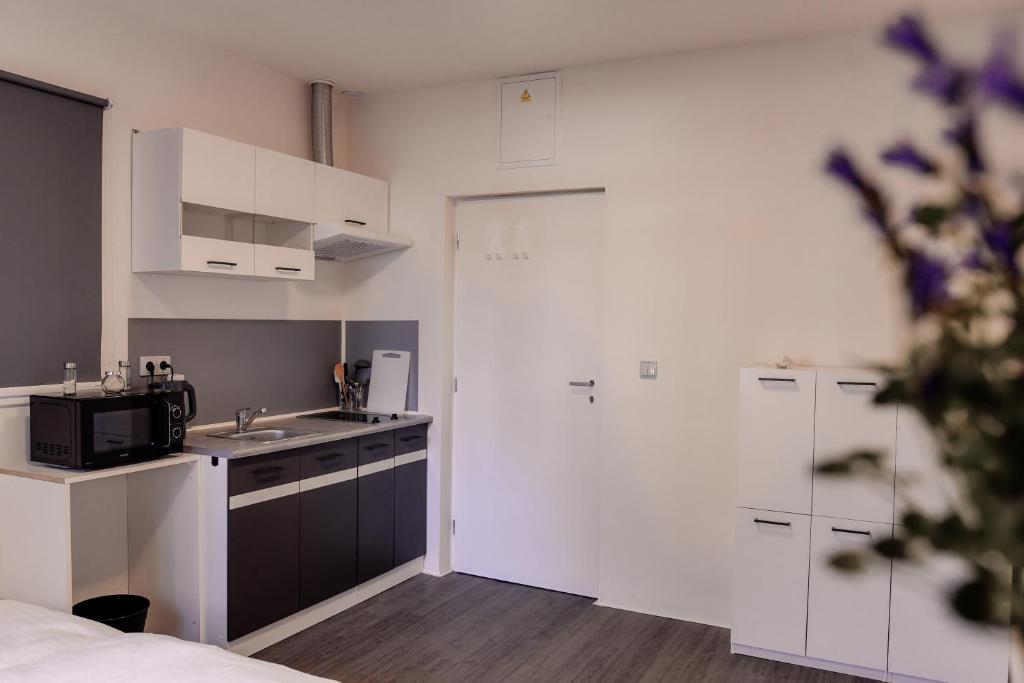 Kuchyň nebo kuchyňský kout v ubytování Apartmány Centrum