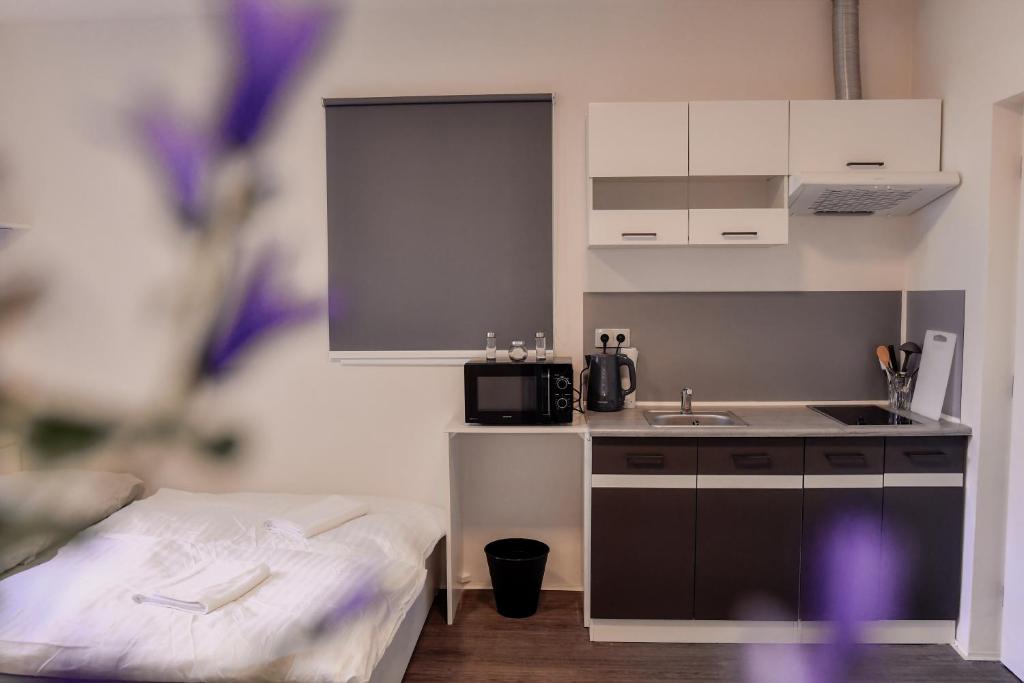 Kuchyň nebo kuchyňský kout v ubytování Apartmány Centrum