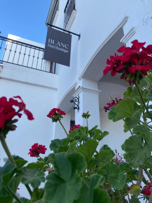 um sinal em frente a um edifício com flores vermelhas em Blanc Hotel Boutique em Salta